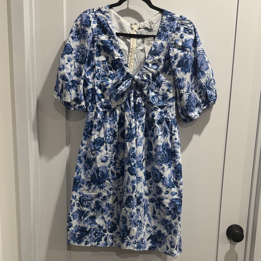 Abercrombie and Fitch Chic Blue Floral Dress